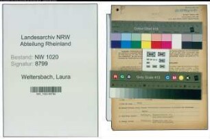 Entnazifizierung Laura Weltersbach , geb. 07.06.1893 ()