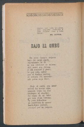 Bajo el ombú