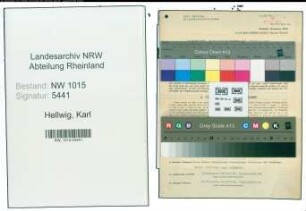 Entnazifizierung Karl Hellwig , geb. 06.10.1899 (Kaufmann)