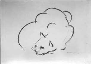 Lauernde Katze : Lauernde Katze. Kohlezeichnung (1946; E. Richter). Dresden-Striesen, Borsbergstraße 11, Atelier der Künstlerin