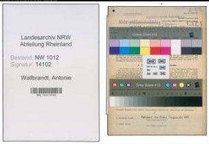 Entnazifizierung Antonie Wallbrandt , geb. 17.10.1899 (Bueroangestellte)