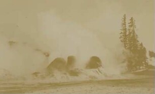Yellowstone: Upper Geyser Basin (2250 meters) - Grotto Geyser : eruption: four times daily, during half an hour