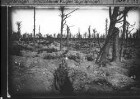 Zerschossener Argonnenwald, von einem von Soldaten benutzten Annäherungsweg (Blauer Weg) durchzogen (Negativ)