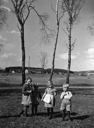 Kinderbilder. Kinder auf einer Wiese