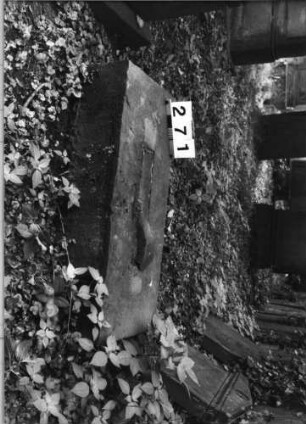 Grabstein 271 (Index: 99629772) Material: Sandstein Zustand: nur Sockel vorhanden Maße HxBxT: 28x96x40 cm Beschreibung: Sockel: Grabstein 271