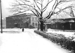 Seifhennersdorf. Eiche (Friedenseiche) am Kretscham