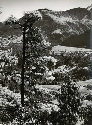 Landschaft bei Valendas