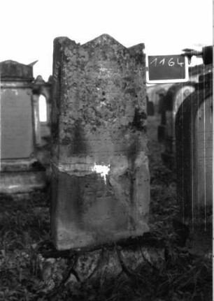 Grabstein 1164 (Index: 100104292) Material: Sandstein Zustand: stark verwittert mit fast vollständigem Textverlust, außerdem starke Zerstörungs- / Reparaturspuren Maße HxBxT: 156x53x15 cm Beschreibung: aufgesockelte Stele mit Dreiecksabschluss, Ecken zu Akroterien hochgezogen, Sockel felsartig gearbeitet, Stele war durchgebrochen: Grabstein 1164