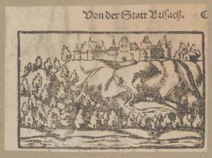 Von der Stadt Brisach
