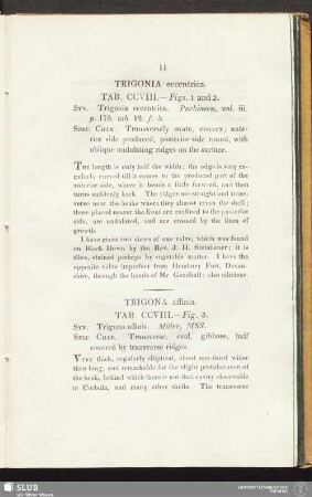 Trigonia eccentrica. Tab. — Figs. 1 and 2