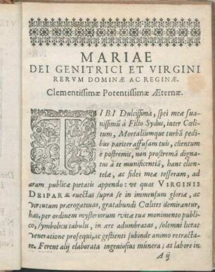 Mariae Dei Genitrici Et Virgini Rervm Dominæ Ac Reginæ. Clementissimæ Potentissimæ Æternæ.