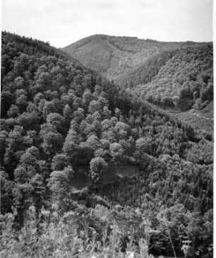 Pfälzer Wald lt. Heft 107 : Bewaldeter Landschaftsausschnitt im Pfälzer Wald