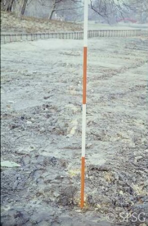 Berlin, Schlossgarten Charlottenburg, Umgebung Karpfenteich, Sanierungsarbeiten am Karpfenteich im Frühjahr 1980, westliche Spundwand von Süden.