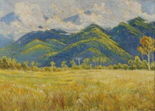Typische Atjeh-Gebirgslandschaft