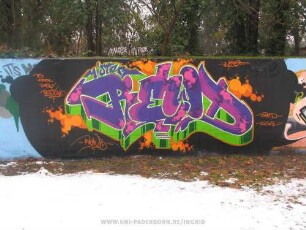 Mister REWD