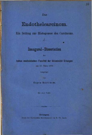 Das Endothelcarcinom : Ein Beitrag zur Histogenese des Carcinoms