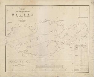 Plan über den Gemeinde-Wald von Weiler auf dortiger Gemarkung