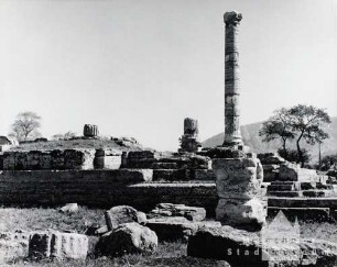 Paestum. Blick auf die Reste der antiken Stadt