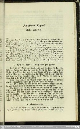 Funfzigstes Kapitel. Nebenarbeiten