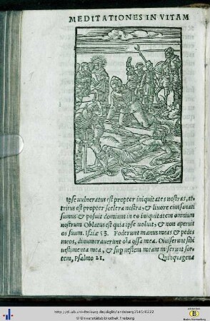 Quinquagena tertia et ultima meditationum