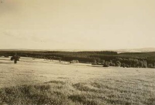Blick von der Straße Annaberg - Lengefeld bei Gehringswalde auf den Erzgebirgskamm (Keilberg, Fichtelberg, Pöhlberg)