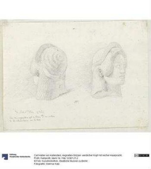 Aegineten-Skizzen: weiblicher Kopf mit reicher Haarpracht, Profil, Halbprofil