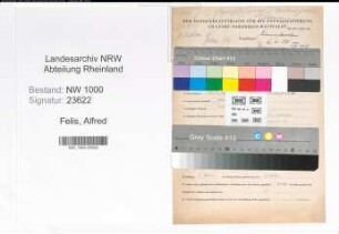 Entnazifizierung Alfred Felis, geb. 27.05.1904 (Haendler)