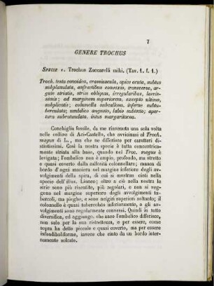 Genere Trochus