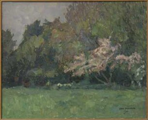 Blühender Obstbaum
