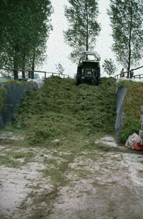 Fotografie: Ein- und Auslagerungstechnik, Flachsilo, Fahrsilo, Grassilage