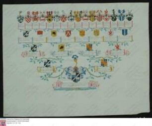 Ahnenprobe des Adolph Wilhelm Franz v. Greiffenclau z. Vollrads. - ausgefertigt 1745 Juli 6 Burgmann, Pergament