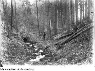 Der Maler Karl Quarck in einer Waldlandschaft mit Wasserlauf und Steinbrücke (vermutlich Prießnitzgrund)