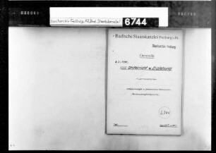 Schulpflicht in Baden, Änderung des Gesetzes über die Schulpflicht im Deutschen Reich v. 6. Juli 1938