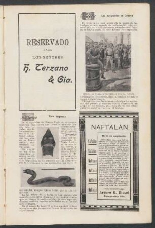 Rara serpiente