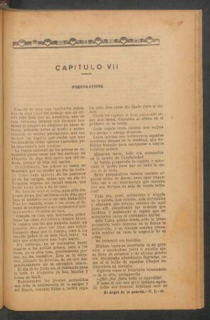 Capítulo VII - Preparativos