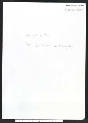 Die Heimkehr des Schauspielers : eine Miniatur aus der grossen Revolution (Der Vogel Solitär, Kapitel ?)