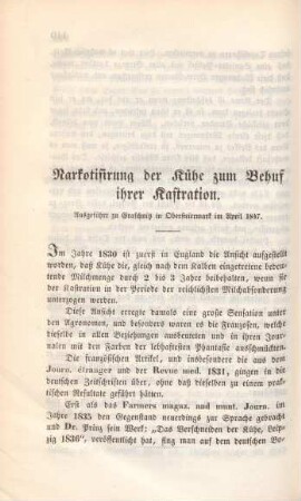 Narkotisirung der Kühe zum Behuf ihrer Kastration.
