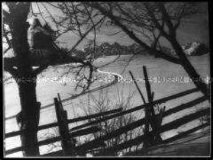 Winterlandschaft