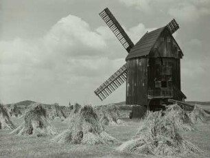 Falkenhain. Windmühle. Ansicht über ein Feld mit Getreidepuppen. Blick gegen Hohburger Berge