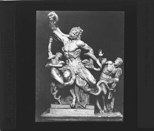 Rom: Laokoon [in den Vatikanischen Museen]