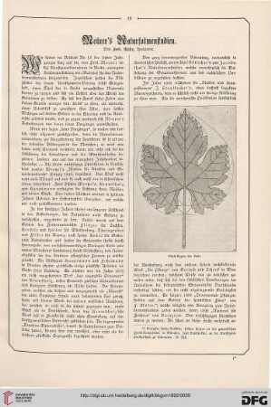 Meurers Naturformstudien