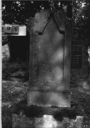 Grabstein 291