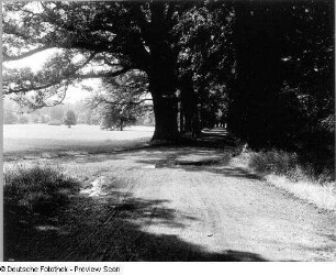 Waldenburg in Sachsen. Schlosspark