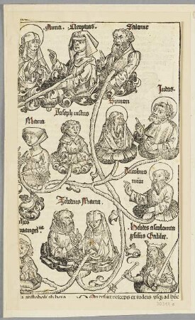 Figuren aus der Bibel, aus: Hartmann Schedel, "Registrum huius operis libri cronicarum cu figuris et ymagibus ab inicio mudi", Nürnberg 12.7.1493, S. XCV recto