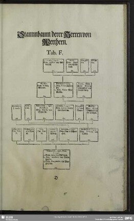 Stammbaum derer Herren von Werthern Tab. F.