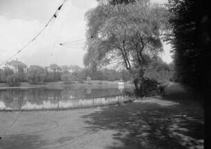 Limbach in Sachsen : Limbach. Stadtpark