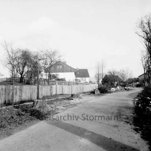 Kastanienallee: Straßenansicht: rechts die Fahrbahn mit gefällten Bäumen, links Wohngebäude hinter einem Zaun