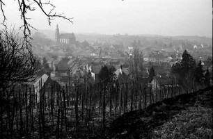 Ettenheim: Blick über Weinberge auf Ettenheim