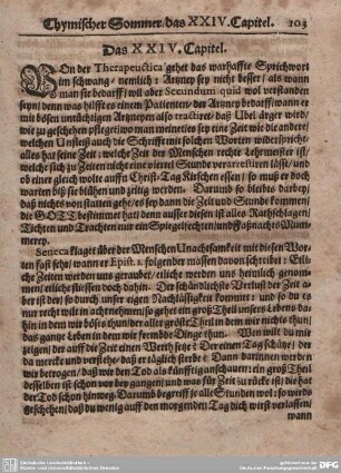 Das XXIV. Capitel.