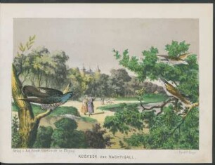 Tafel: Kuckuck und Nachtigall.